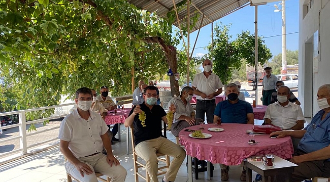 ATAY USLU MARGAZ ÜZÜMÜNÜN HASADINI BAŞLATTI