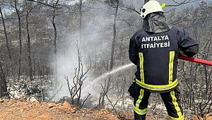 Büyükşehir İtfaiyesi Marmaris yangınında aktif görev alıyor