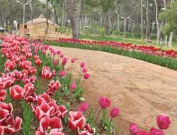 Kent Parkı'nda sezon hazırlığı