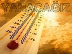 Yanacağız !
