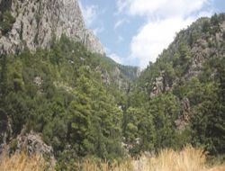 Yaşlı Adam Dağda Ölü Bulundu
