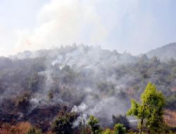 Alanya'da Köy Yangını