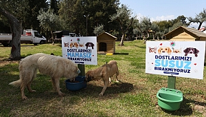 Kepez'in Can Dostları Emin Ellerde