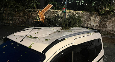 Fırtınanın devirdiği ağaç park halindeki aracın üzerine düştü