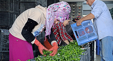 Antalya Ticaret Borsası Ekim ayı hal endeksi açıklandı