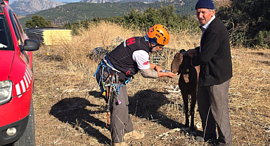 Kaya oyuğuna düşen ve 3 gün mahsur kalan keçi, film gibi operasyonla kurtarıldı