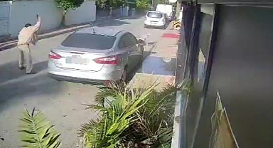 Köpeği silahla vuran emekli polis için 4 yıla kadar hapis talebi