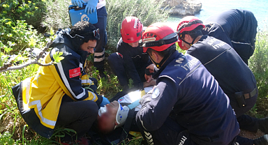 Falezlerden düştü, incir ağacı hayatını kurtardı
