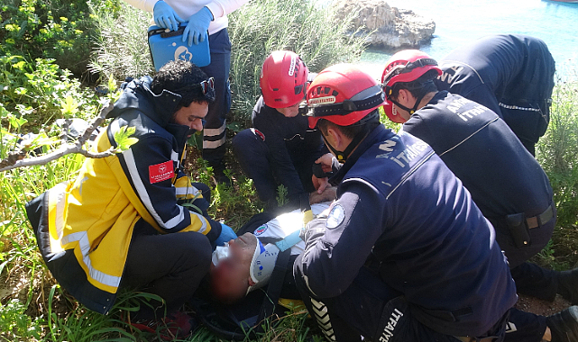 Falezlerden düştü, incir ağacı hayatını kurtardı