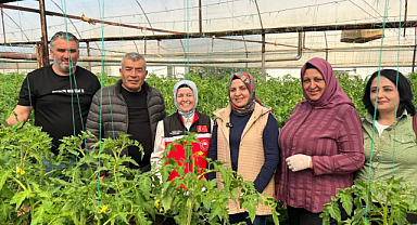 Aksu'da örtü altı tarımda yıllık yaklaşık 370 bin tonluk rekoltenin tamamı kadın çiftçilerin emeğiyle üretiliyor