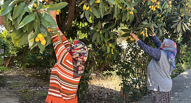 Talep azalınca bedava dağıttı, poşetini alan bahçeye koştu