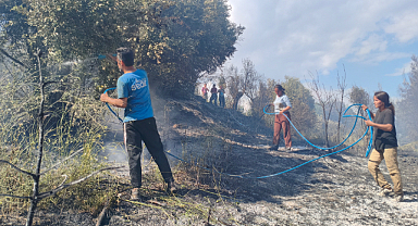 Antalya'da ormanlık alanda yangın