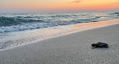 Antalya'da yasak başladı