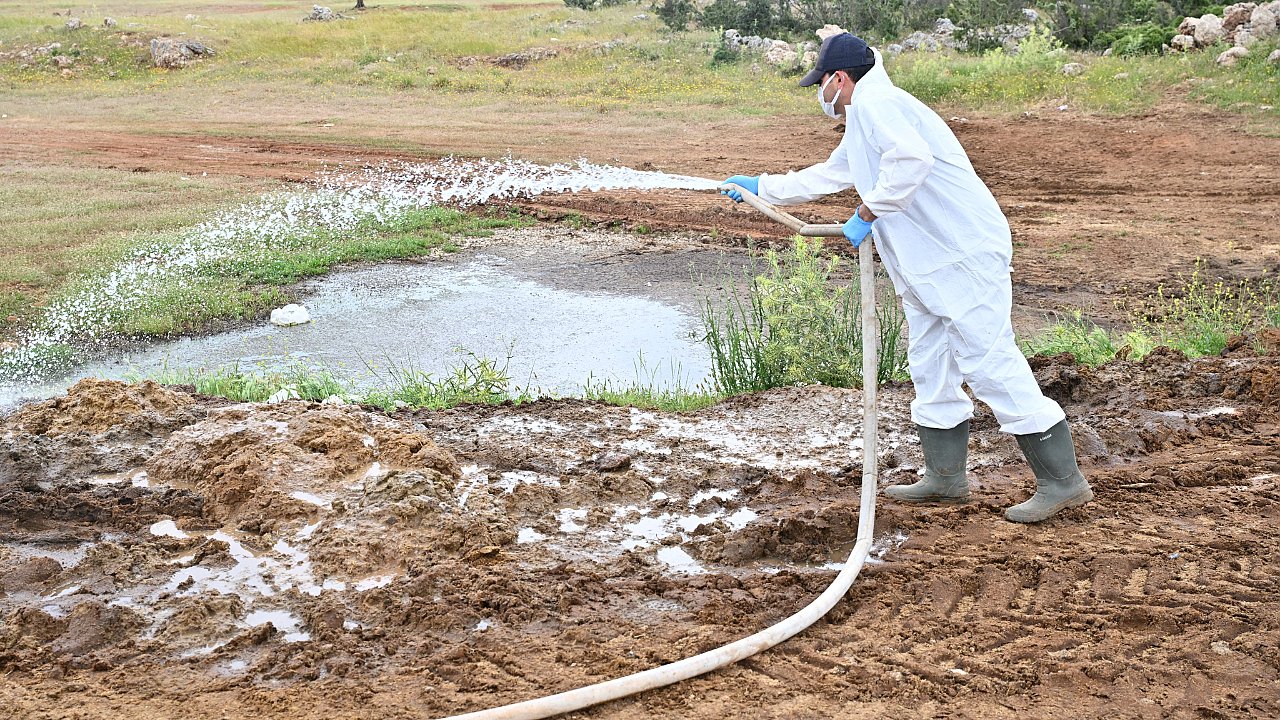 Büyükşehir'den kurban satış alanlarında ilaçlama