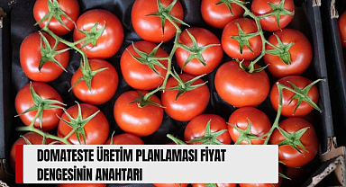 Domateste üretim planlaması fiyat dengesinin anahtarı