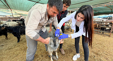 Kepez’de kurban satış ve kesim yerleri denetim altında