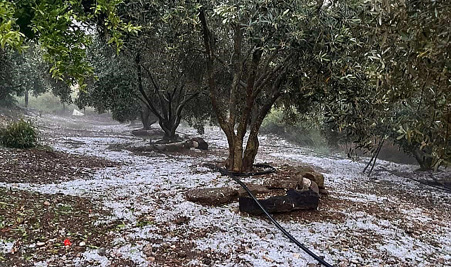 Şiddetli doluyu hem kaydetti hem dua etti