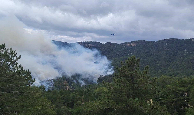 Beşkonak’ta orman yangını