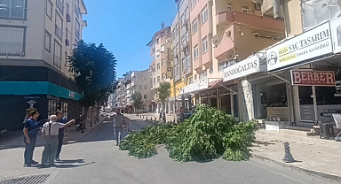 Fırtınanın devirdiği ağaç nedeniyle yol trafiğe kapatıldı