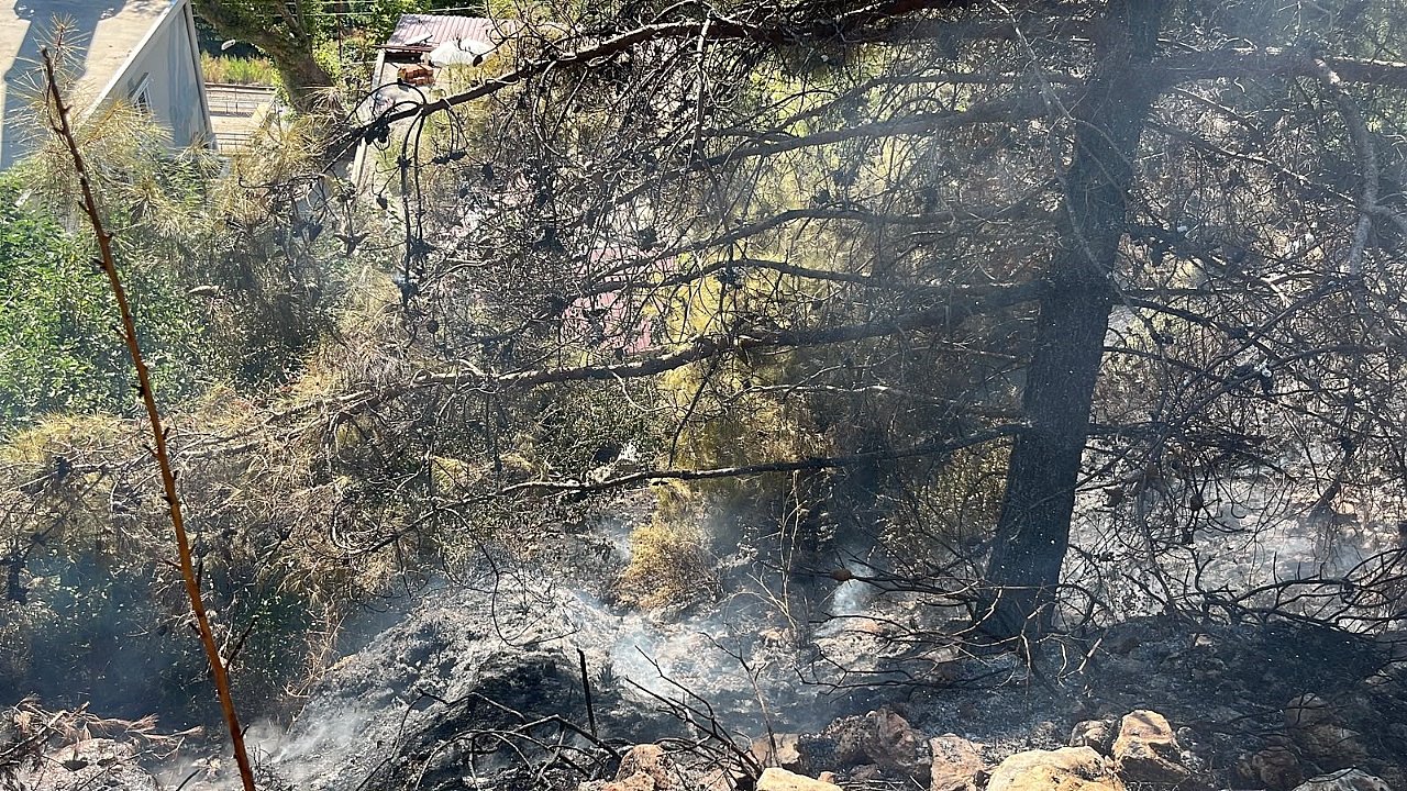 Alanya'da çalılık alanda çıkan yangın söndürüldü