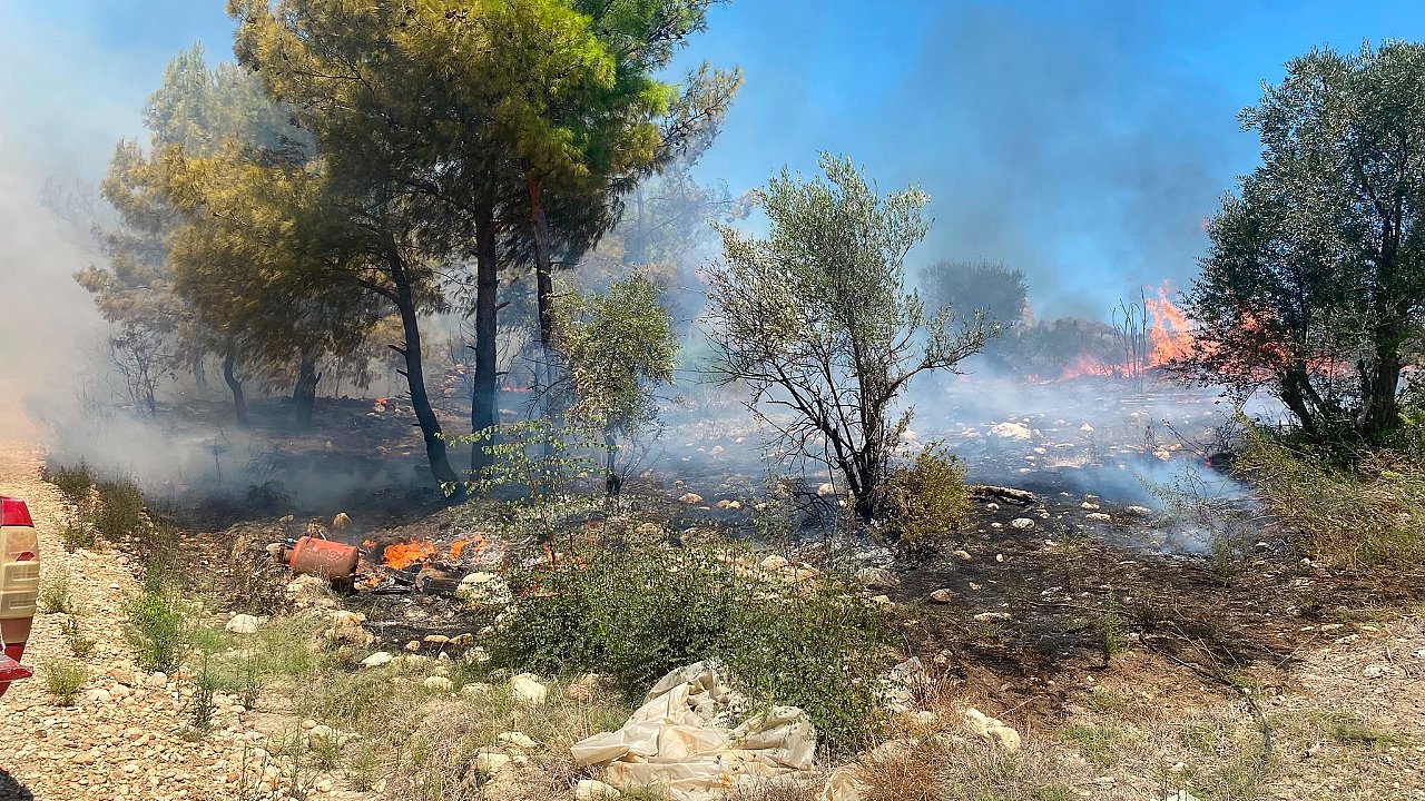 Antalya'da zirai alanda çıkan yangın büyümeden söndürüldü