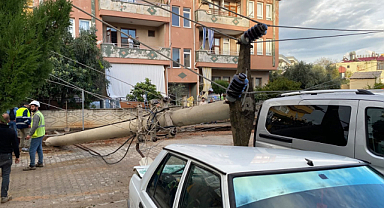 Devrilen elektrik direği otomobile çivi gibi saplandı