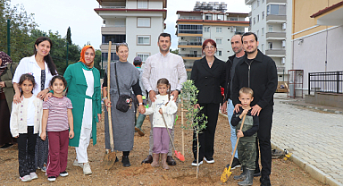 Minik eller zeytin fidanlarını toprakla buluşturdu